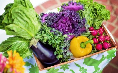10 conseils de base pour les débutants en matière de jardinage