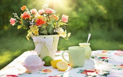 Les 30 meilleurs conseils de jardinage de tous les temps