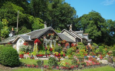 Quel est le meilleur moment pour planter des graines de pastèque dans son jardin ?