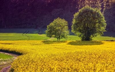 Découverte d’Agrifourniture : découvrir le site et ses produits