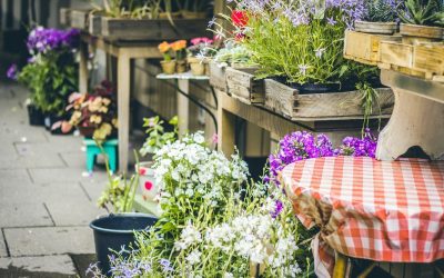 Famiflora Mouscron : le paradis du jardinage en Belgique