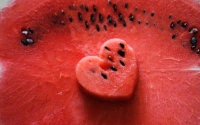 Comment faire germer les graines de pastèque ?