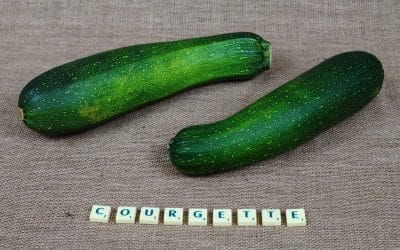 Comment savoir si les courgettes manquent d’eau ?