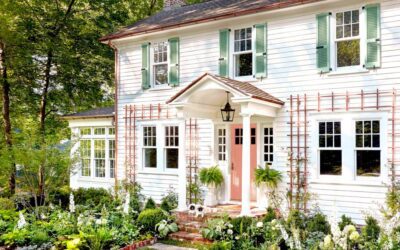 Comment faire pousser de magnifiques vignes grimpantes sur votre maison